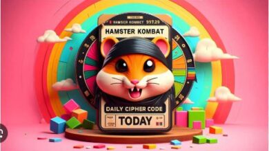 Hamster Kombat Daily Cipher